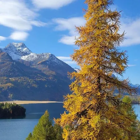 2-5 Bettwohnung By Interhome Sils im Engadin