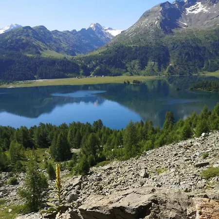2-5 Bettwohnung By Interhome Apartment Sils im Engadin