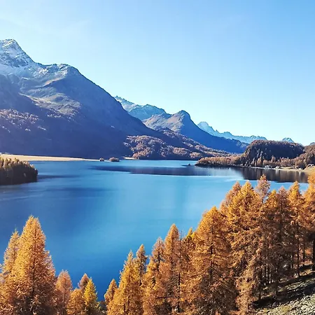2-5 Bettwohnung By Interhome Sils im Engadin
