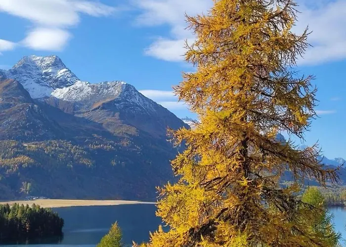 2-5 Bettwohnung By Interhome Sils Maria