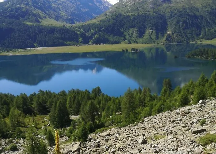 2-5 Bettwohnung By Interhome Apartmán Sils Maria