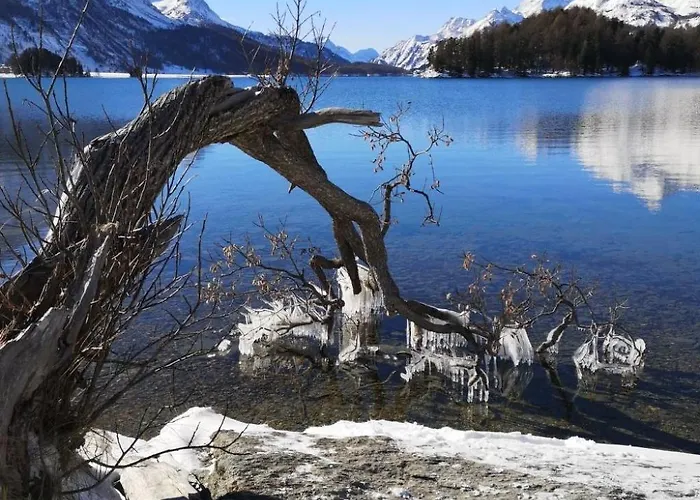 2-5 Bettwohnung By Interhome Apartamento